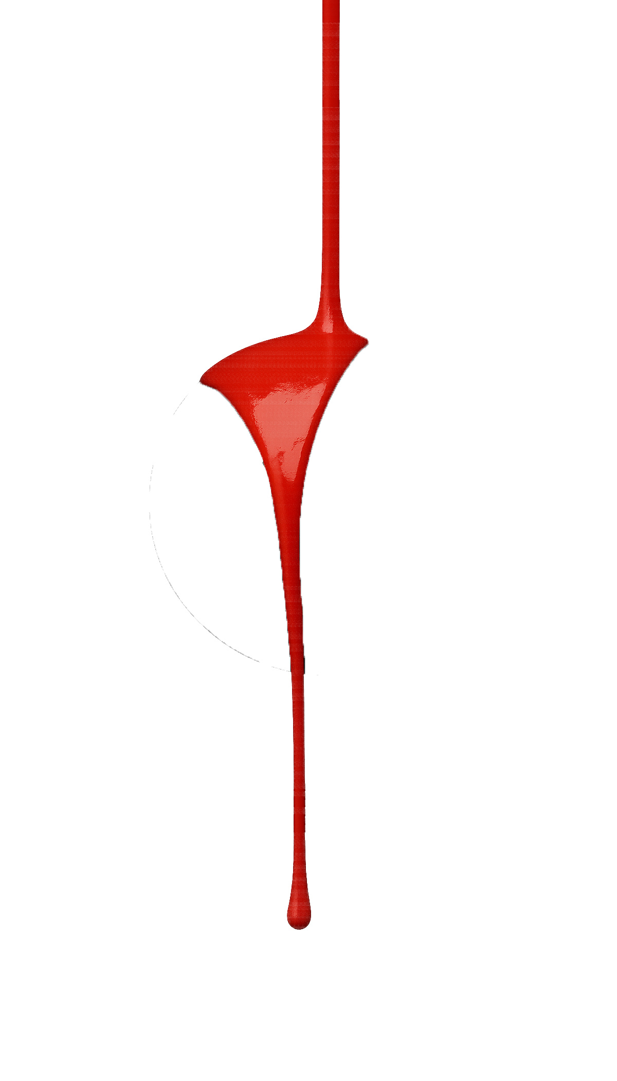 Verona Cadaver Lab