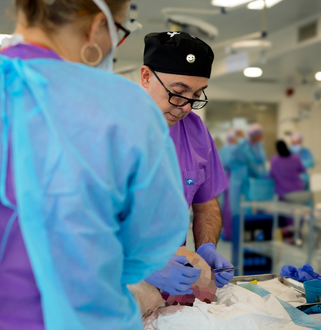 Cadaver Lab Verona Cum Laude